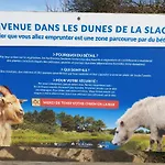 Rural Tramontane - Ferme Des 4 *