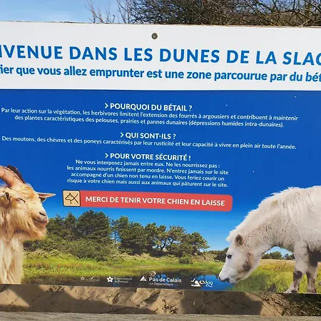 Rural Tramontane - Ferme Des 4 *