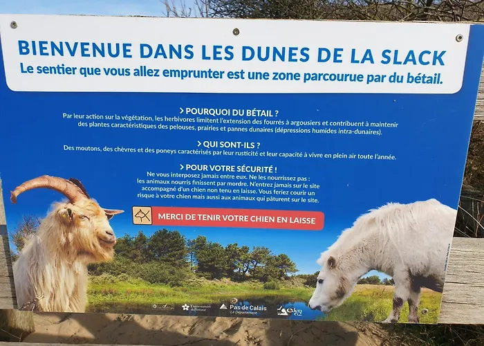 Rural Tramontane - Ferme Des 4 *